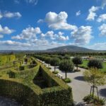 Haie de charmilles : 30 à 50 cm entre les plants, puis tailler sans galère Beautiful aerial view of the hedge maze and manicured gardens at Schloßhof, Niederösterreich.