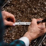 Semis au potager : 7 méthodes selon la graine et la saison Blurred crop faceless female gardener writing notes with names of plants on container with soil and seed during work in garden