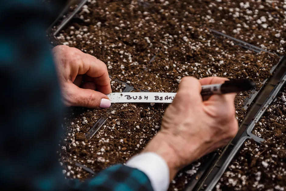 Blurred crop faceless female gardener writing notes with names of plants on container with soil and seed during work in garden