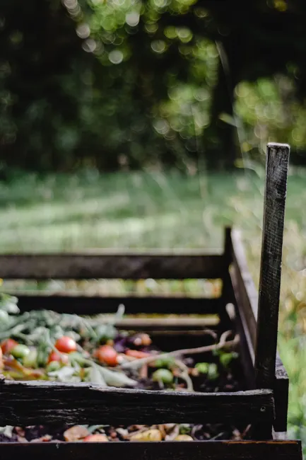 Close-up of a wooden compost bin with organic waste in a lush garden setting.