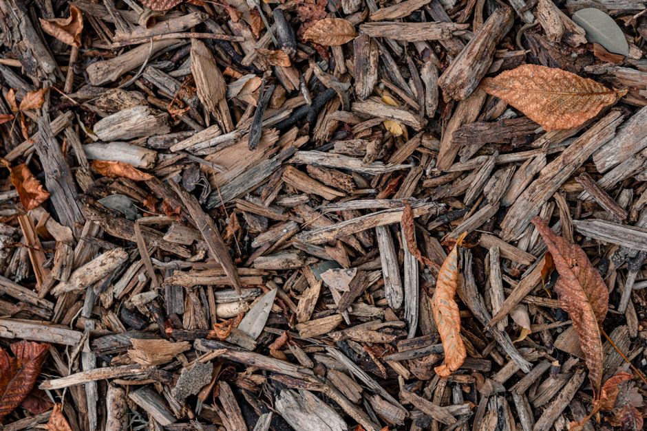 Close-up of brown wood mulch and dry autumn leaves, perfect for background use.