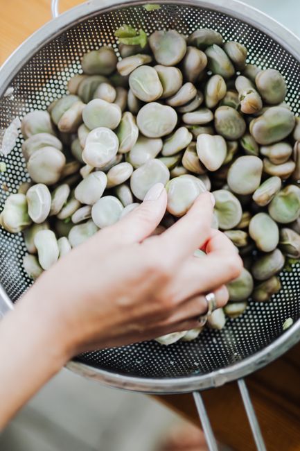 Close-up of fava beans in a colander being sorted by a hand for healthy cooking.