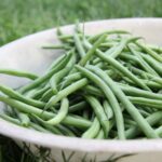 Haricots verts en 2026 : semis de mai à juillet, récolte régulière, la météo décide encore Close-up of fresh green beans in a white bowl placed on grass, captured outdoors.