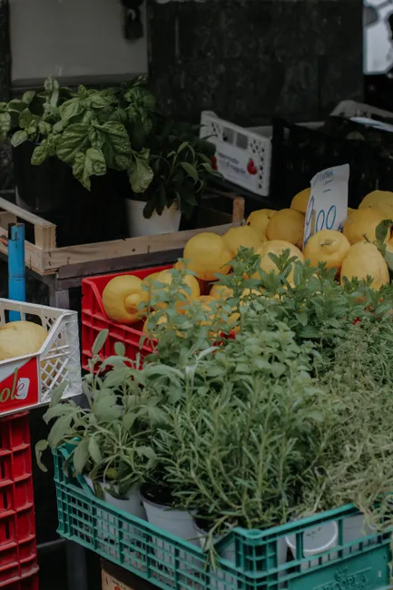 Close-up of fresh organic lemons and herbs displayed at an outdoor market stand.