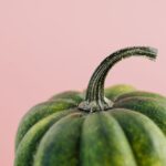Detailed view of green squash against a soft pink background, highlighting texture and freshness.