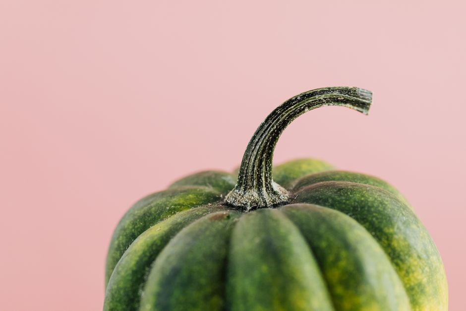 Detailed view of green squash against a soft pink background, highlighting texture and freshness.