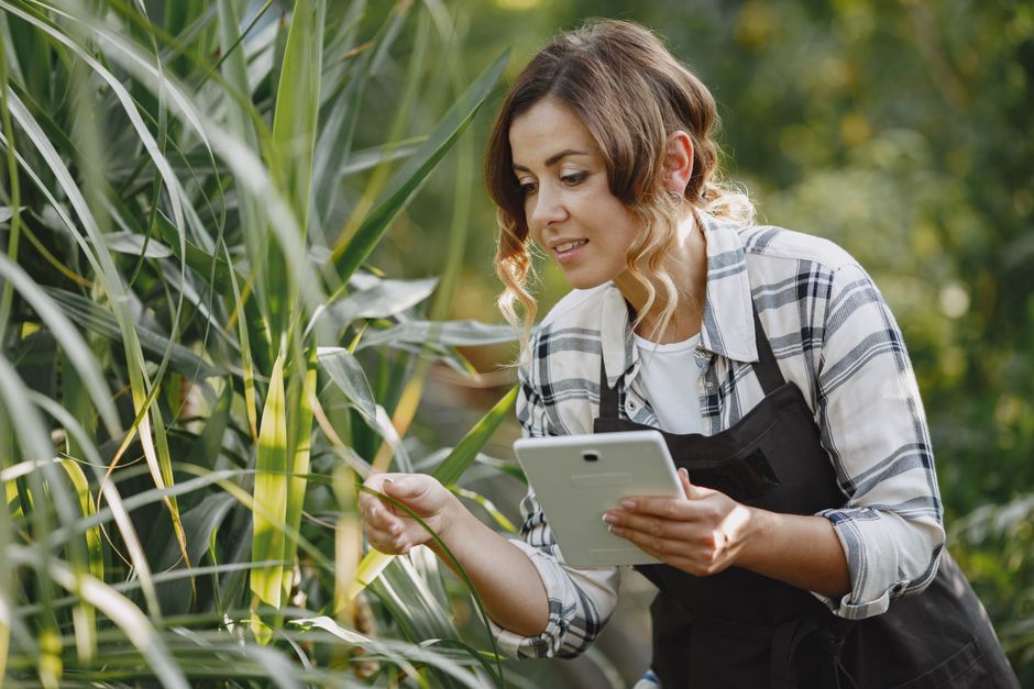 Female gardener inspecting plants with a tablet in a garden setting.