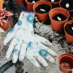 Sparmannia africana : fleurs d'avril-mai, le salon en embuscade Floral gloves and potted plants on a table, perfect for home gardening inspiration.