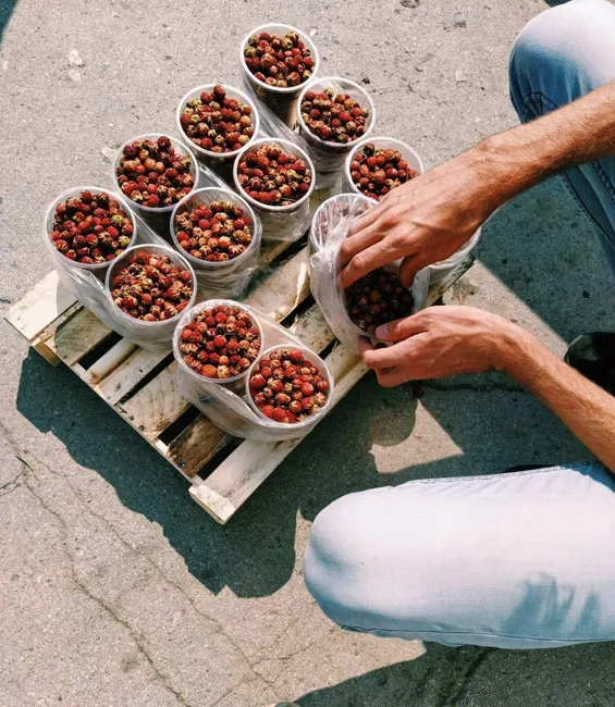 High-angle view of fresh strawberries in containers on a pallet, ready for sale at the market.