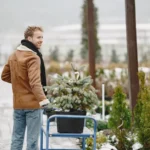 Gel au jardin: 7 gestes avant 0 °C, la météo décide Man in winter attire standing in a snowy garden center, holding a cart with potted blue spruce.