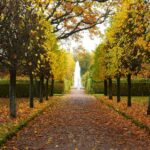 7 arbres d’automne, du bac au grand jardin sans se planter Peaceful autumn scene in Saint Petersburg showing a tree-lined path leading to a fountain.
