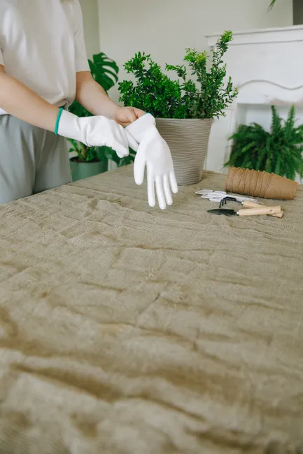 Person wearing gloves preparing for indoor gardening with tools on the table.