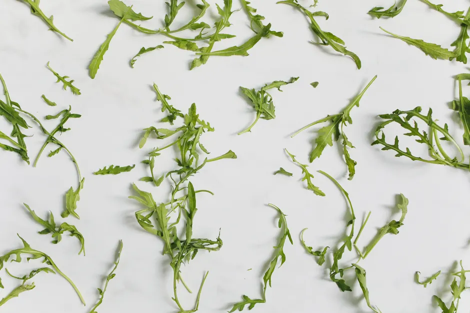 Scattered fresh arugula leaves on a clean white surface, showcasing simplicity.