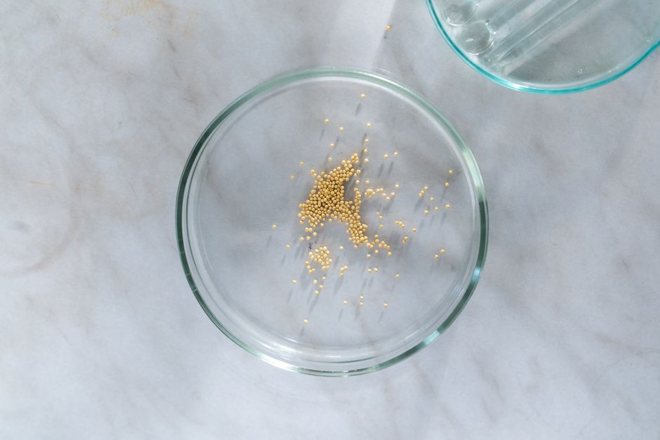 Top view of mustard seeds in a clear petri dish on a marble surface.