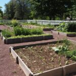 Premier potager bio en 2026 : 12 m² pour apprendre sans se faire déborder Vibrant community garden with raised beds on a sunny day in Washington Crossing, Pennsylvania.