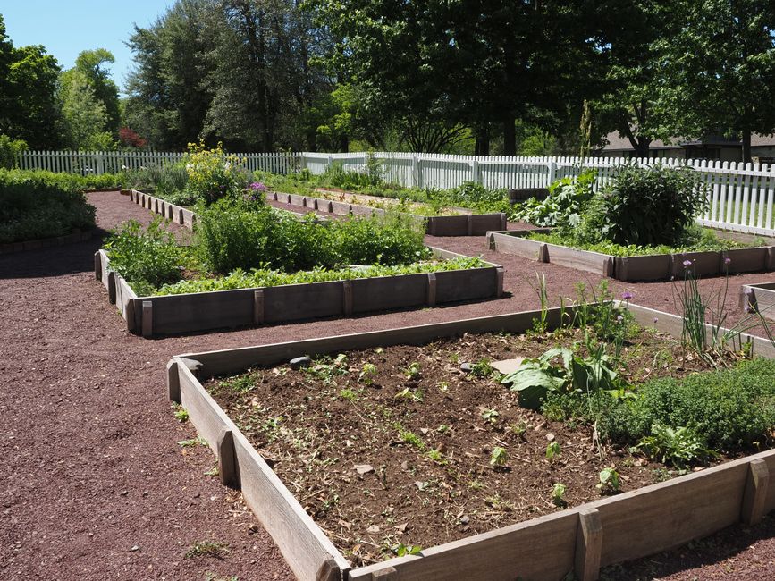 Vibrant community garden with raised beds on a sunny day in Washington Crossing, Pennsylvania.