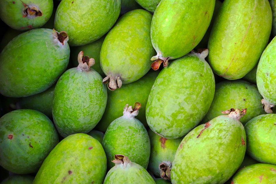 Vibrant green feijoa fruits captured in a close-up shot highlighting their natural texture and freshness.