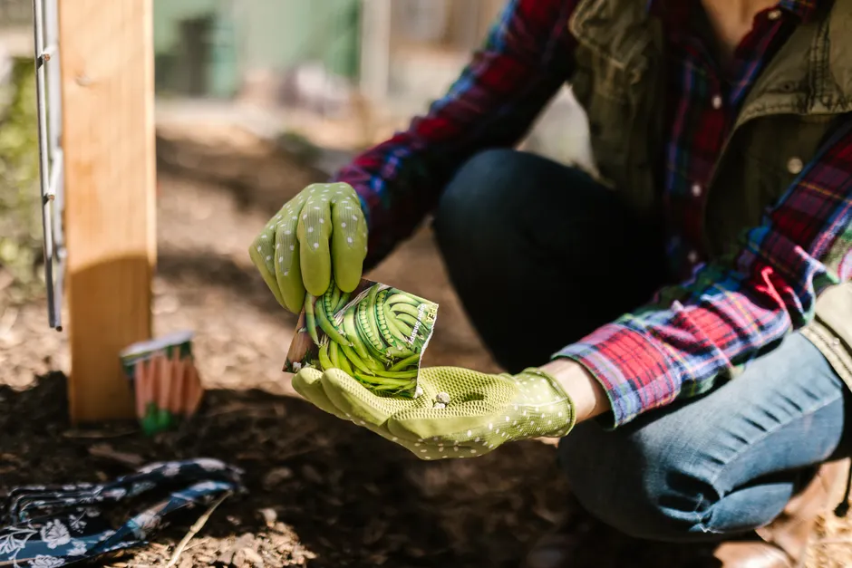 Woman wearing gloves planting seeds from a packet in a garden. Perfect for gardening and lifestyle themes.