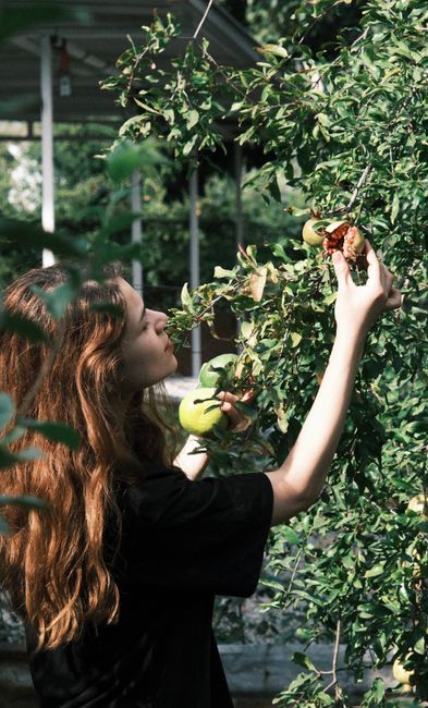 Young woman harvesting pomegranates in a garden, surrounded by greenery and fresh fruit.