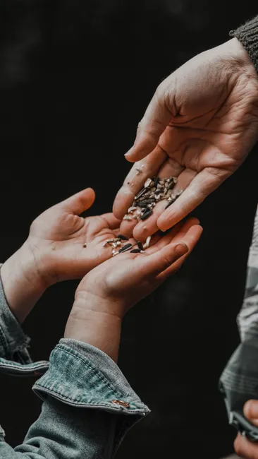 A close-up view of an adult handing sunflower seeds to a child, symbolizing sharing and connection.
