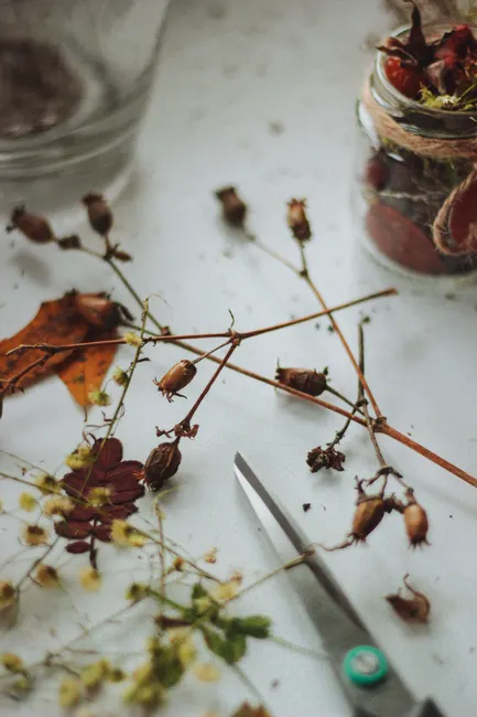 A close-up view of dried flowers, leaves, and scissors on a surface indoors, showcasing autumn colors.