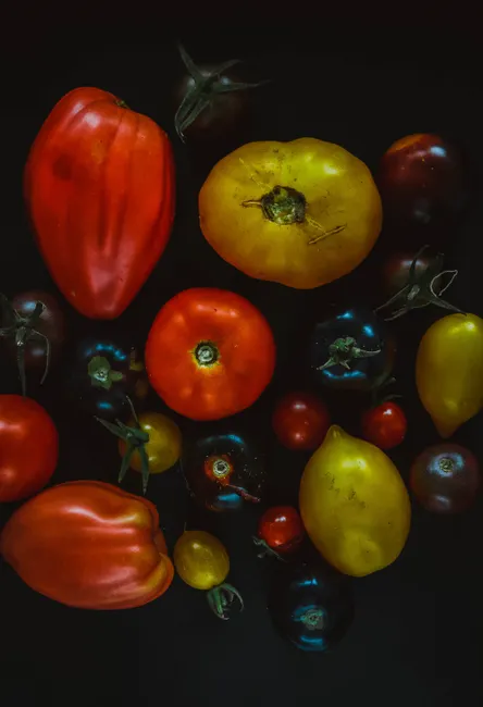 A colorful collection of heirloom tomatoes on a dark background, displaying variety and freshness.