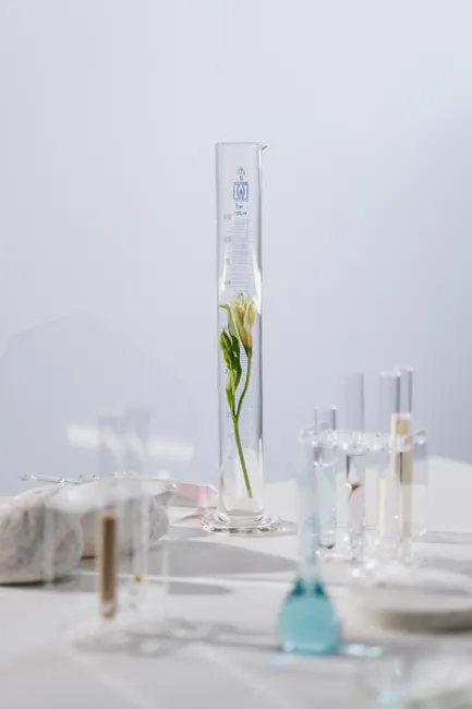 A delicate flower elegantly displayed in laboratory glassware against a white background.