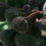 Figuier au jardin : 6 variétés, des récoltes de juin à novembre, le climat tranche A dramatic close-up of figs ripening on a tree branch in dappled light.