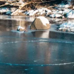 Bassin de jardin en hiver : 7 gestes dès l'automne, sans casse A frozen winter pond with a natural ice circle and snow-covered rocks.