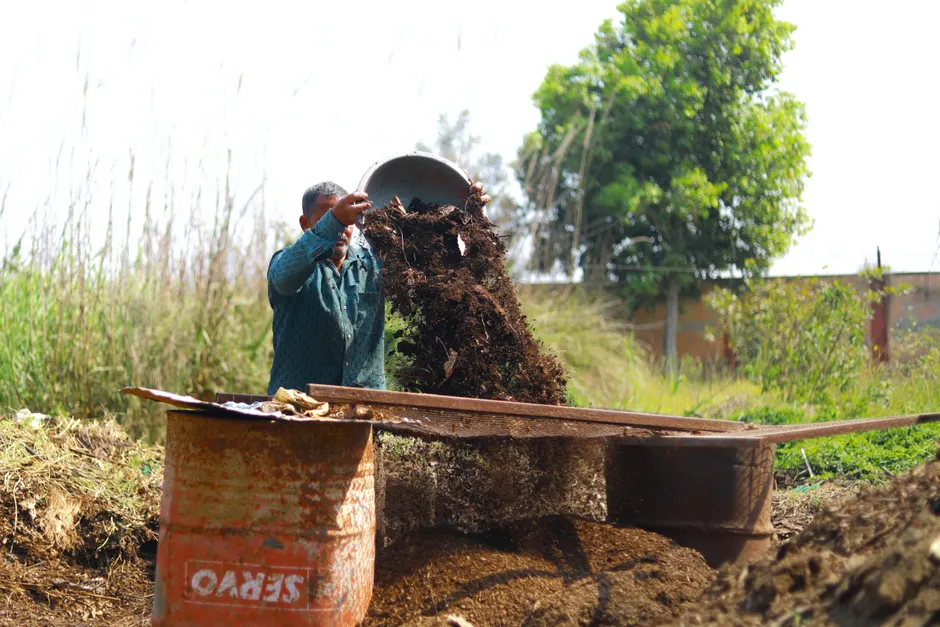 A gardener in India pours organic compost into a barrel outdoors, promoting sustainable agriculture.