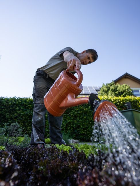 A gardener uses a watering can to water plants in a garden setting.