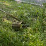 A grass trimmer cutting through a lush, green lawn on a sunny day.