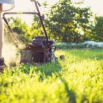 Calamagrostis Karl Foerster : 2 m, taille en février-mars, le sol tranche A person operates a lawnmower on a sunny day, trimming grass in a garden setting.