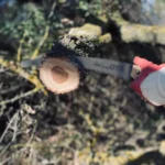 Scie d'élagage : 2 à 3 mm ou plus de 4 mm, le bon cran A person wearing gloves cuts a tree branch with a pruning saw outdoors.