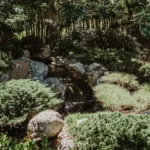 Pachysandre du Japon : 4 à 7 plants au m² pour l'ombre, avec un bémol côté feuilles A serene Japanese garden with lush greenery and a small waterfall in San Diego.