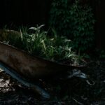 Canicule au potager : 7 gestes en été pour économiser l'eau A vintage wheelbarrow filled with vibrant plants in a shaded garden corner, creating a rustic vibe.