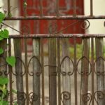 Glycine tubéreuse : plantez au printemps, récoltez en 2 à 3 ans An old rusty metal gate with climbing green vines in an outdoor garden setting.