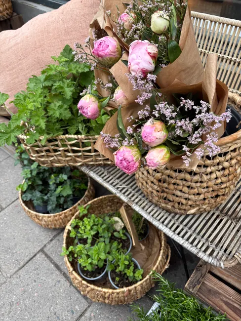 Charming outdoor display of pink peonies and green potted plants in woven baskets.