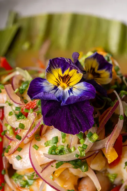 Close-up of a colorful gourmet dish garnished with edible flowers, onions, and herbs.