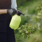 Close-up of a gardener using a manual sprayer on bushes outdoors, focusing on plant care.
