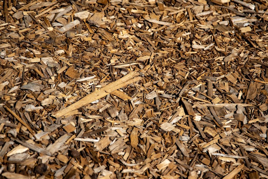 Close-up of brown bark mulch in sunlight, showcasing natural texture.
