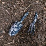 Close-up of floral patterned rake and shovel resting on soil, ideal for gardening themes.