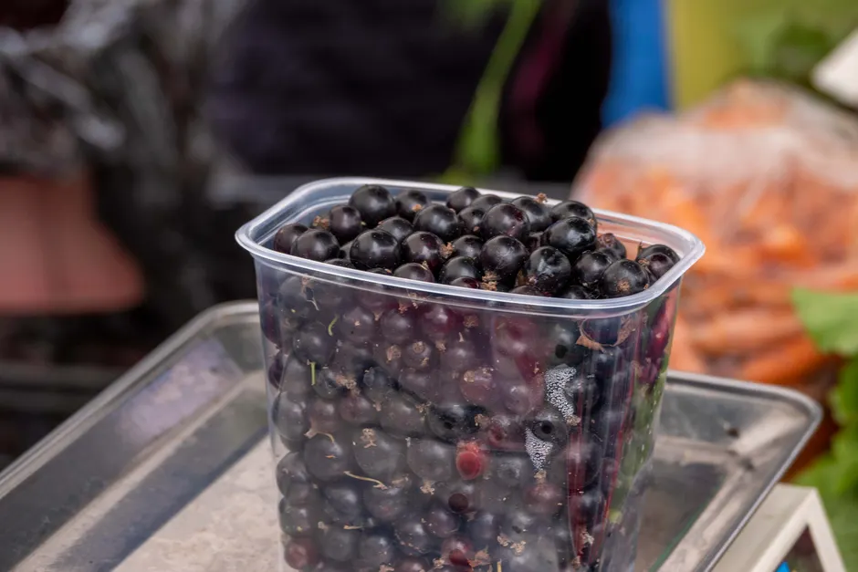 Close-up of fresh blackcurrants in a clear plastic container at a market stand.