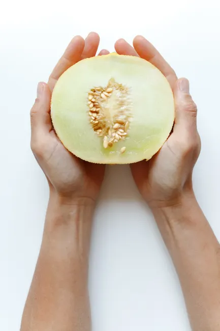 Close-up of hands holding a sliced honeydew melon on a white background.