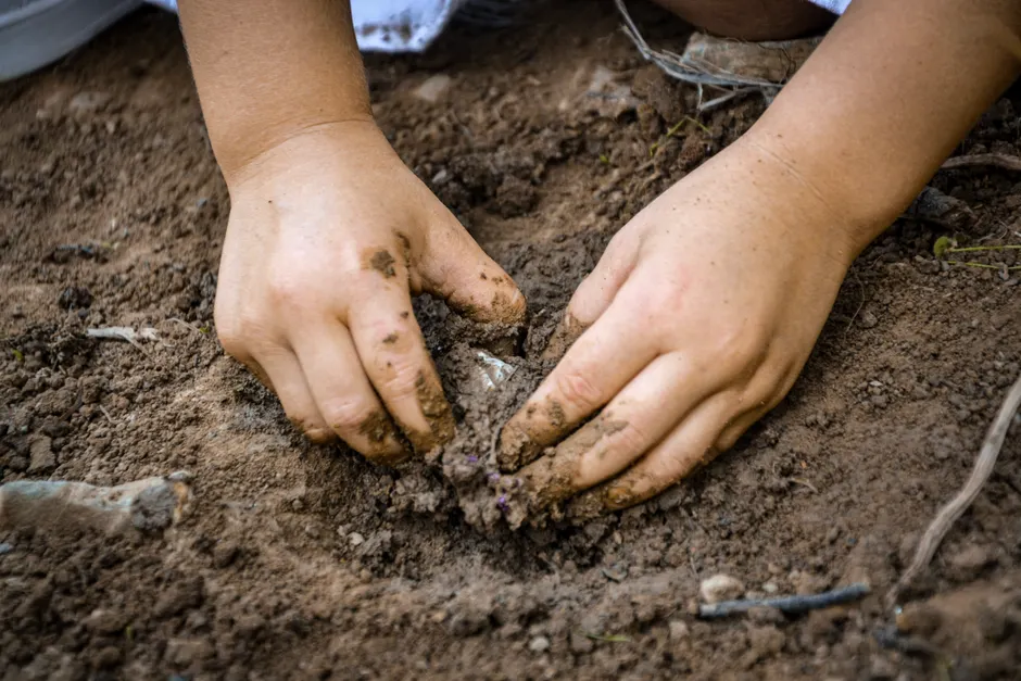 Close-up of hands planting a seed in soil, symbolizing growth and sustainability.