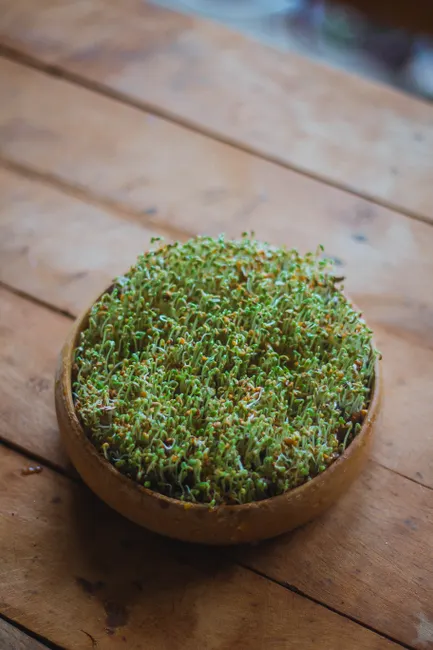 Close-up of watercress in a wooden bowl on a table, perfect for healthy lifestyle themes.