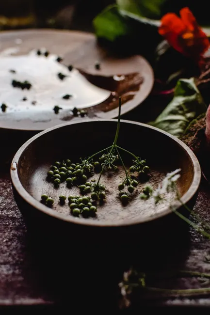 Coriander seeds in a wooden bowl on a rustic table, styled with herbs and flowers.