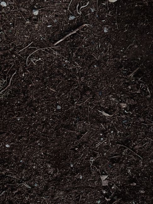 Detailed shot of fertile soil perfect for gardening and planting.