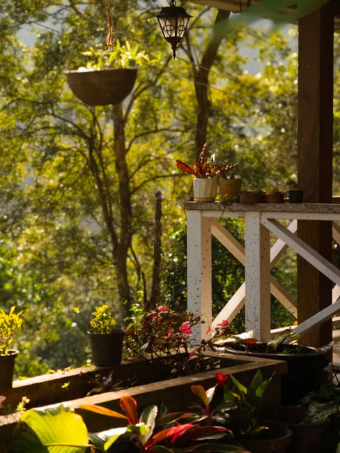 Explore a sunlit garden terrace in Rajakkad, India, featuring vibrant potted plants.