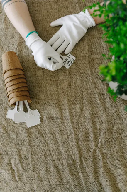 Hands preparing seed labels and pots on burlap for gardening.